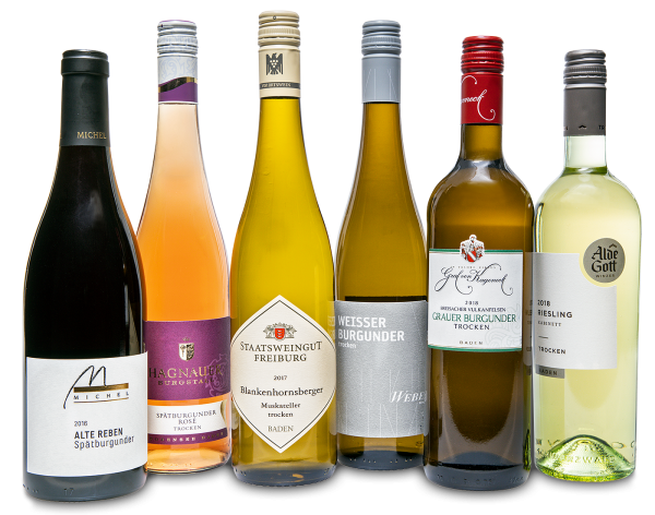 Paket mit 6 Weinen und Begleitbuch BADEN