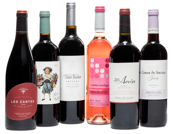 Paket mit 6 Weinen und Begleitbuch RIBERA DEL DUERO
